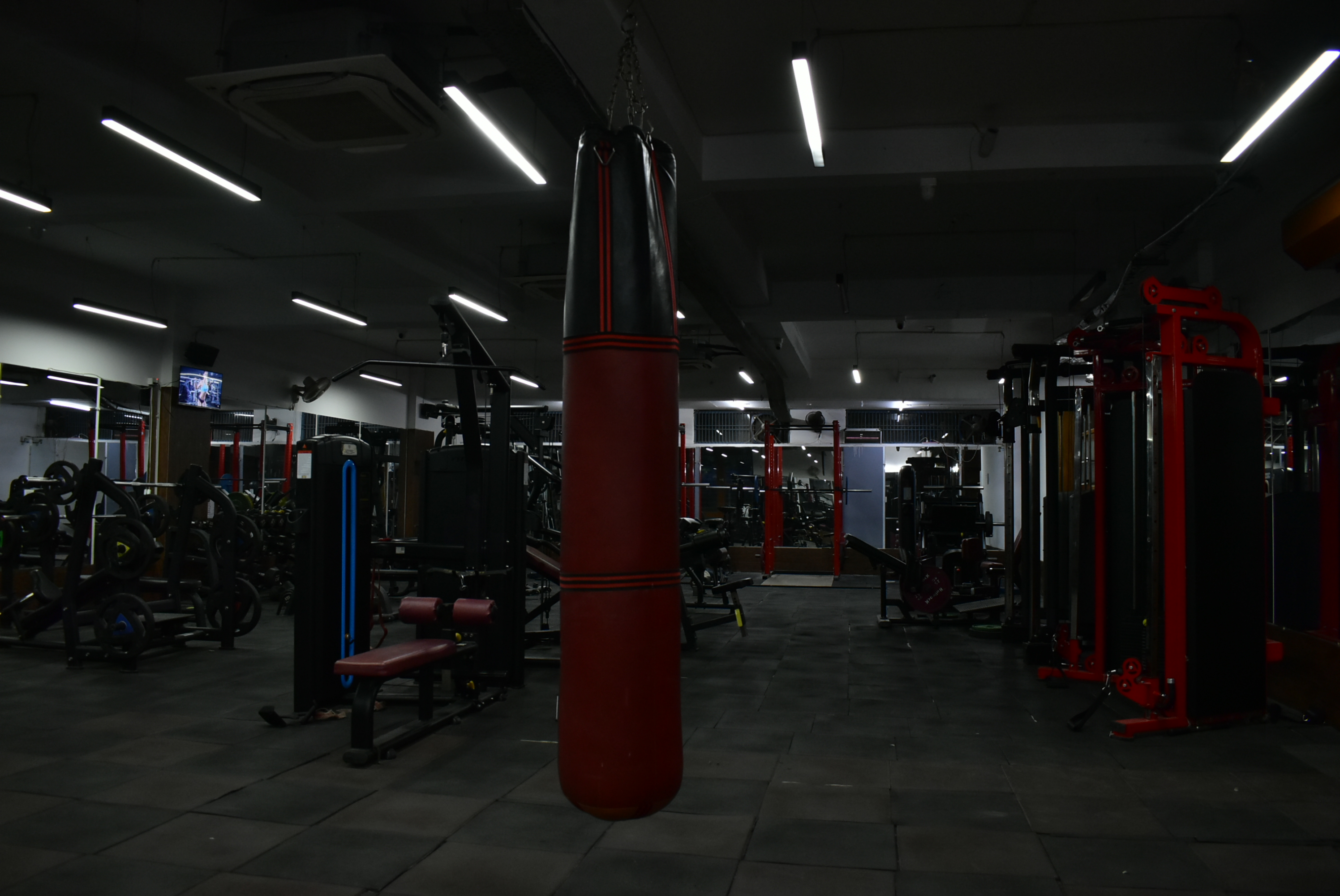 Workout Area