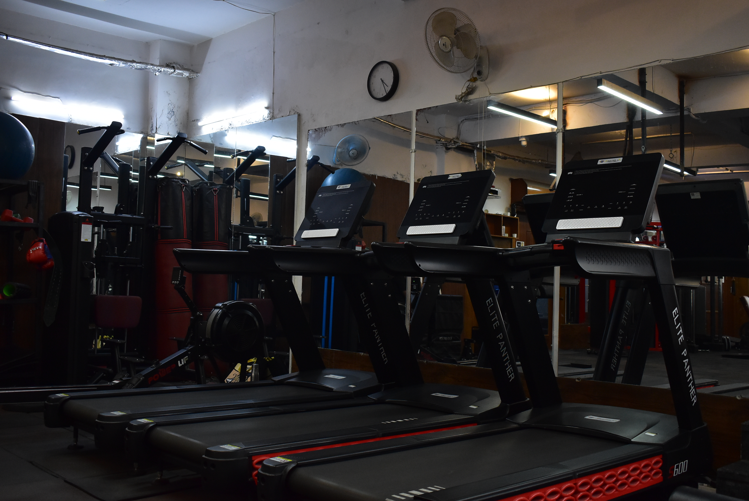 FlexFit Gym